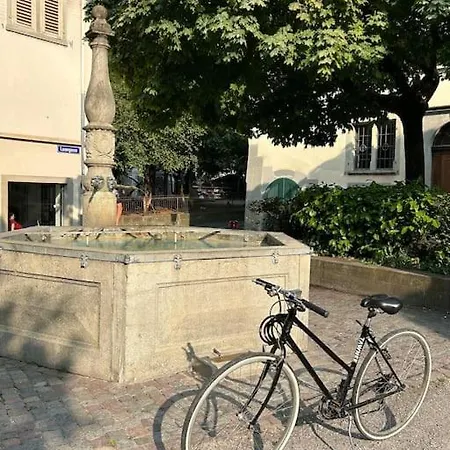 شقة Lovely Flat Old Town زيورخ